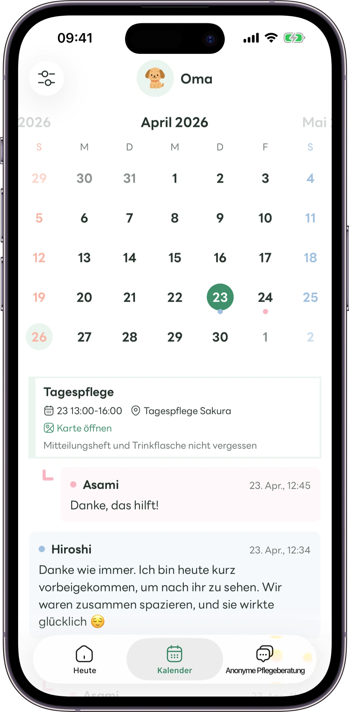 Modellansicht des Carez-Rückblicks