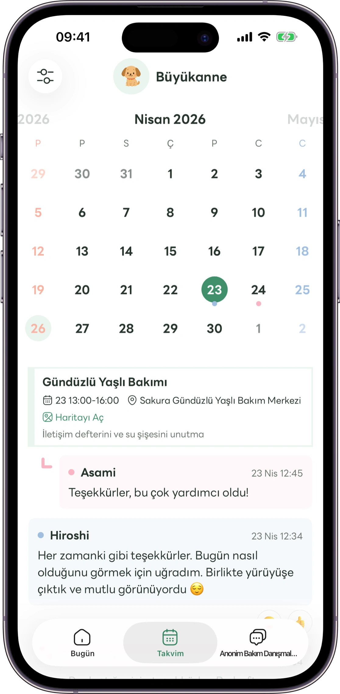 Carez geriye bakış ekranı maketi