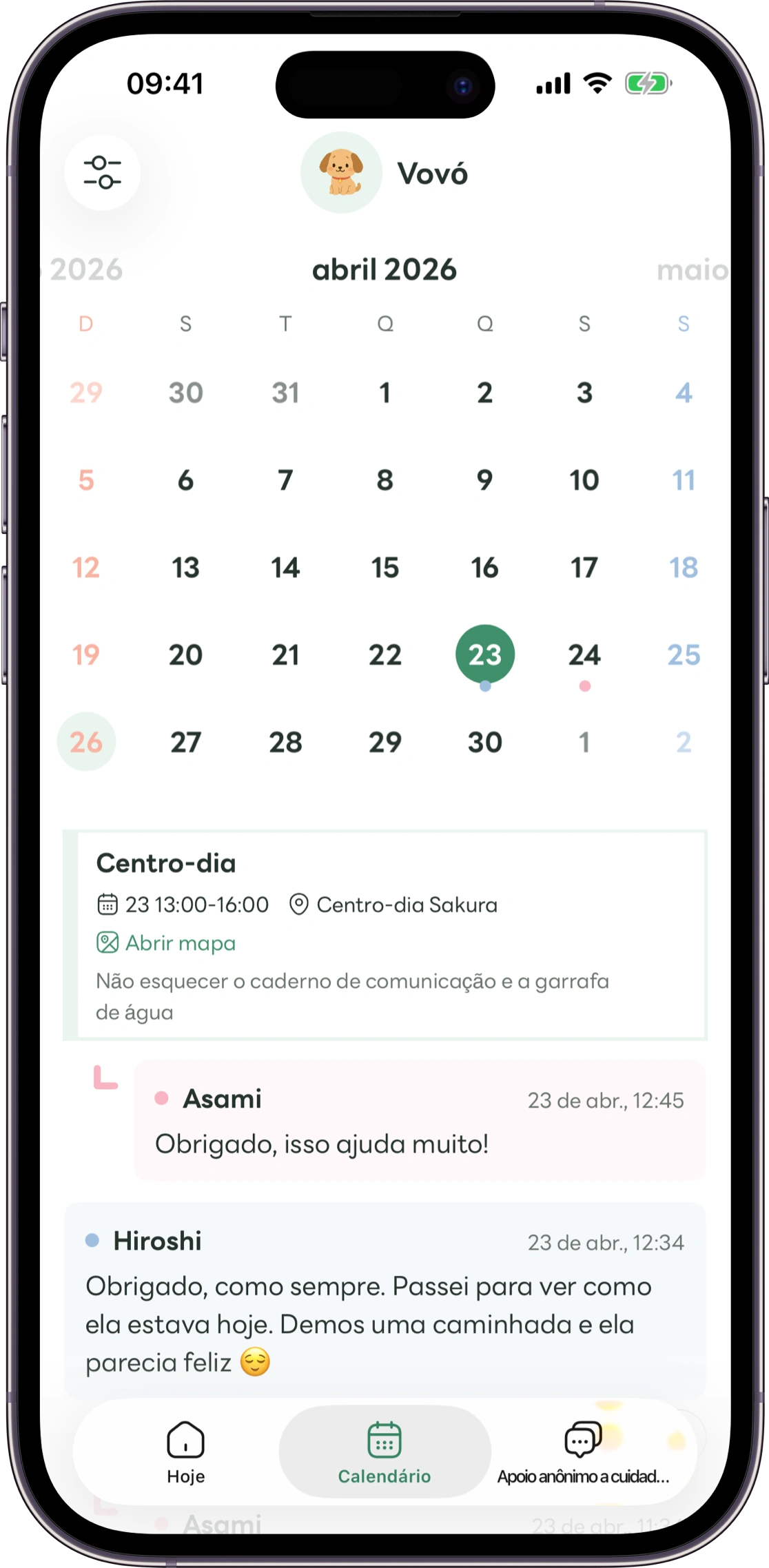 Modelo da tela de acompanhamento do Carez