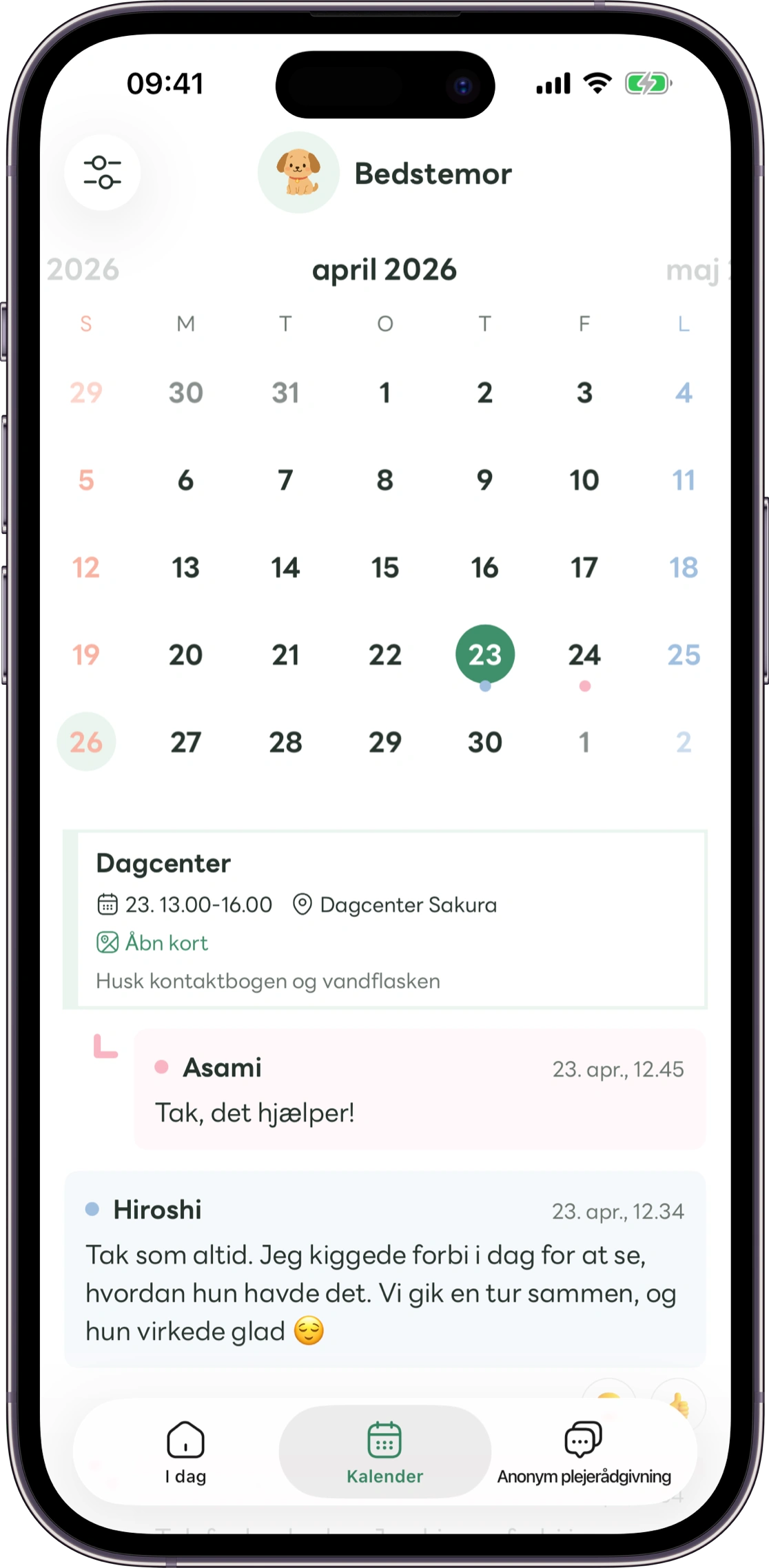 Model af oversigtsskærmen i Carez