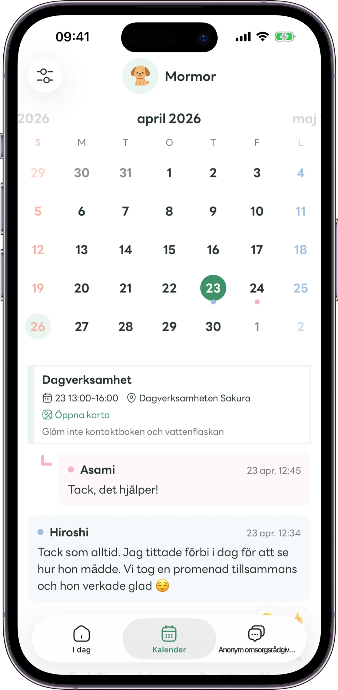 Modell av översiktsvyn i Carez