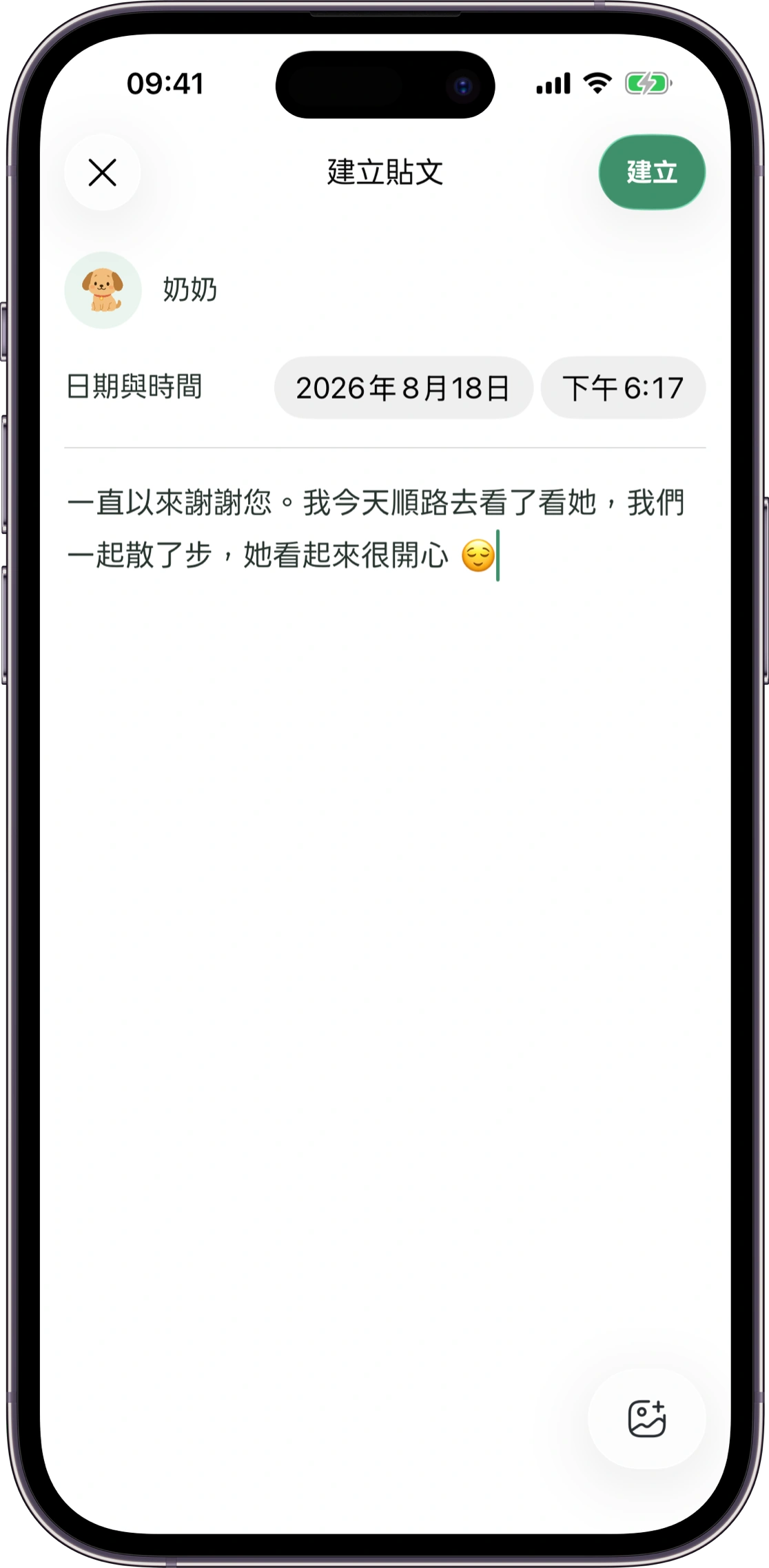 Carez 照護記錄界面示意圖