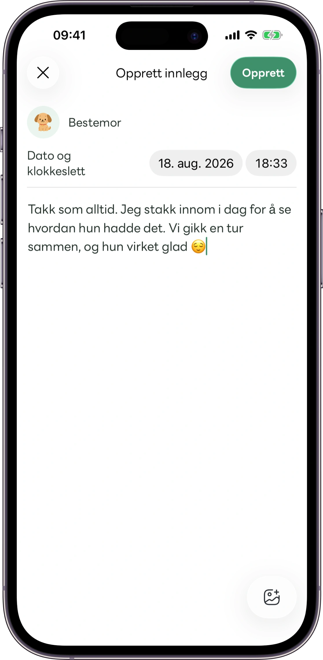 Modell av skjermen med omsorgsnotater i Carez