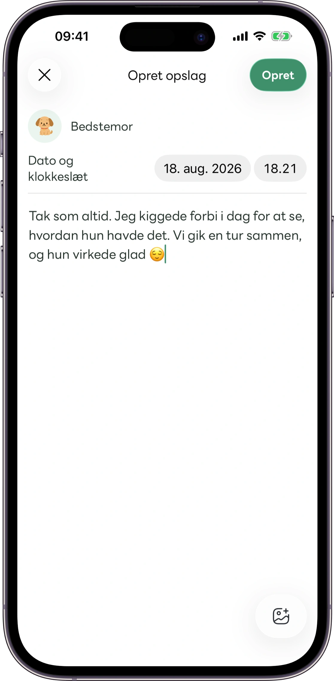 Model af skærmen med omsorgsnotater i Carez