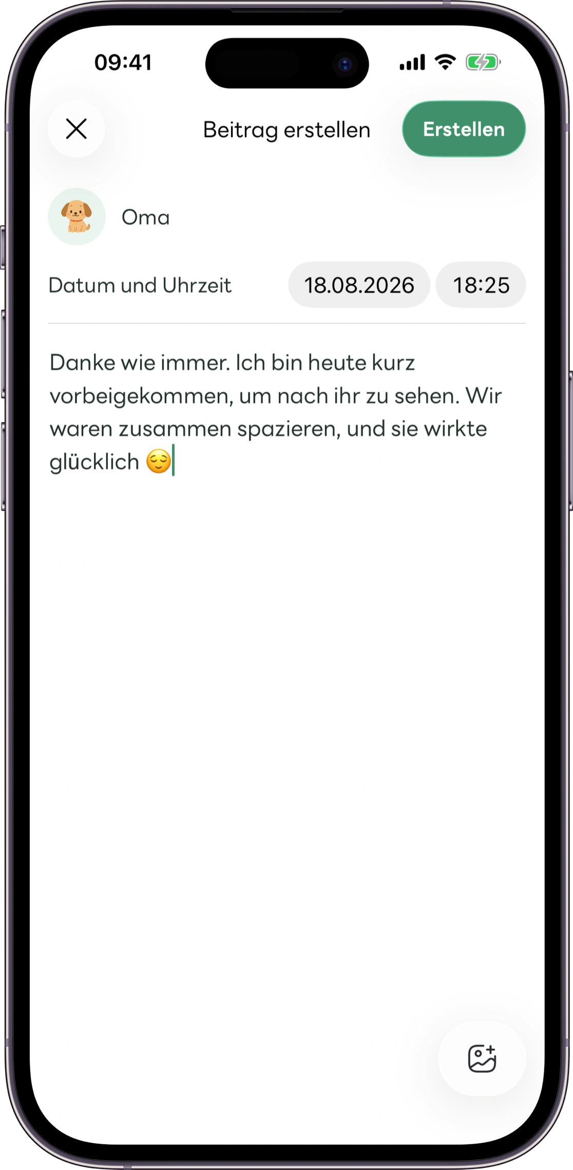 Modellansicht der Carez-Pflegenotizen