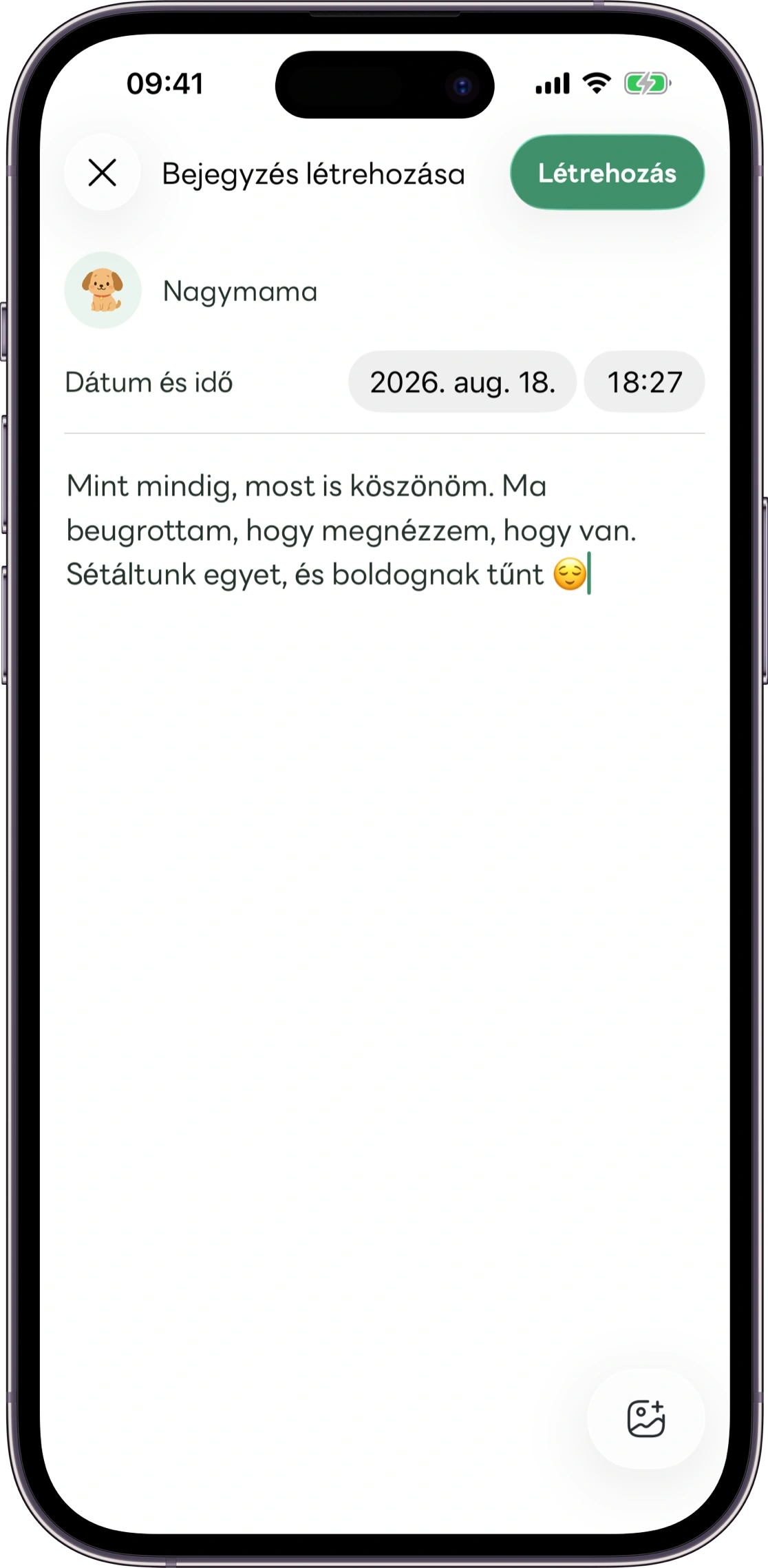 A Carez gondozási feljegyzéseket mutató képernyőjének mintája