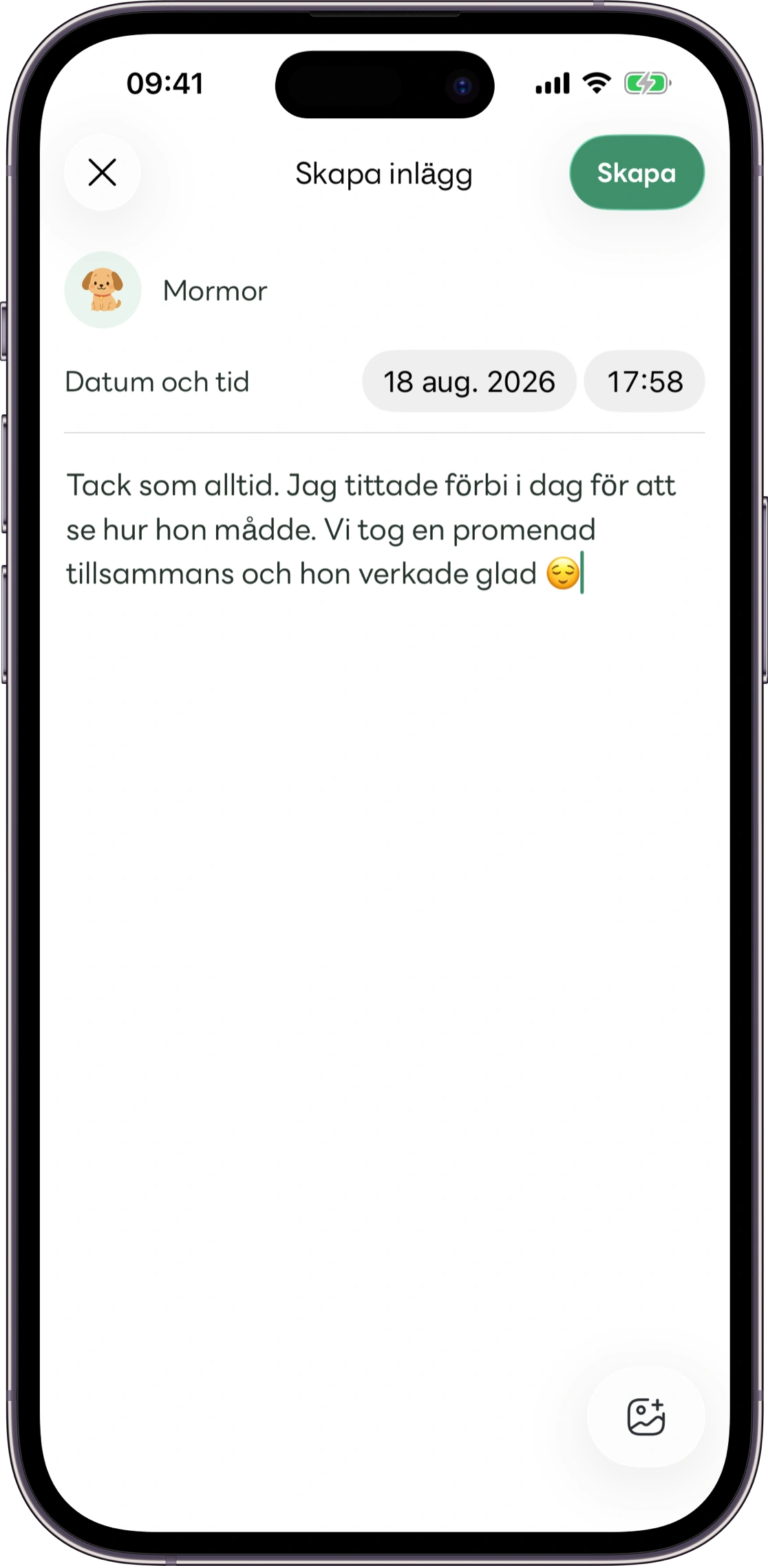 Modell av vyn med omsorgsanteckningar i Carez