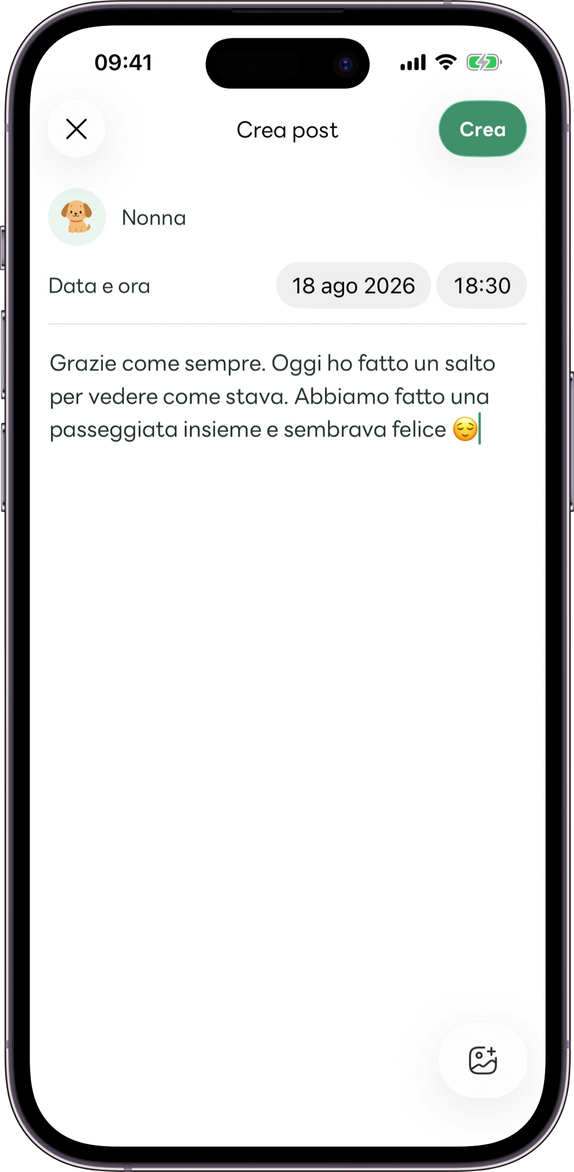Modello della schermata delle note di assistenza di Carez
