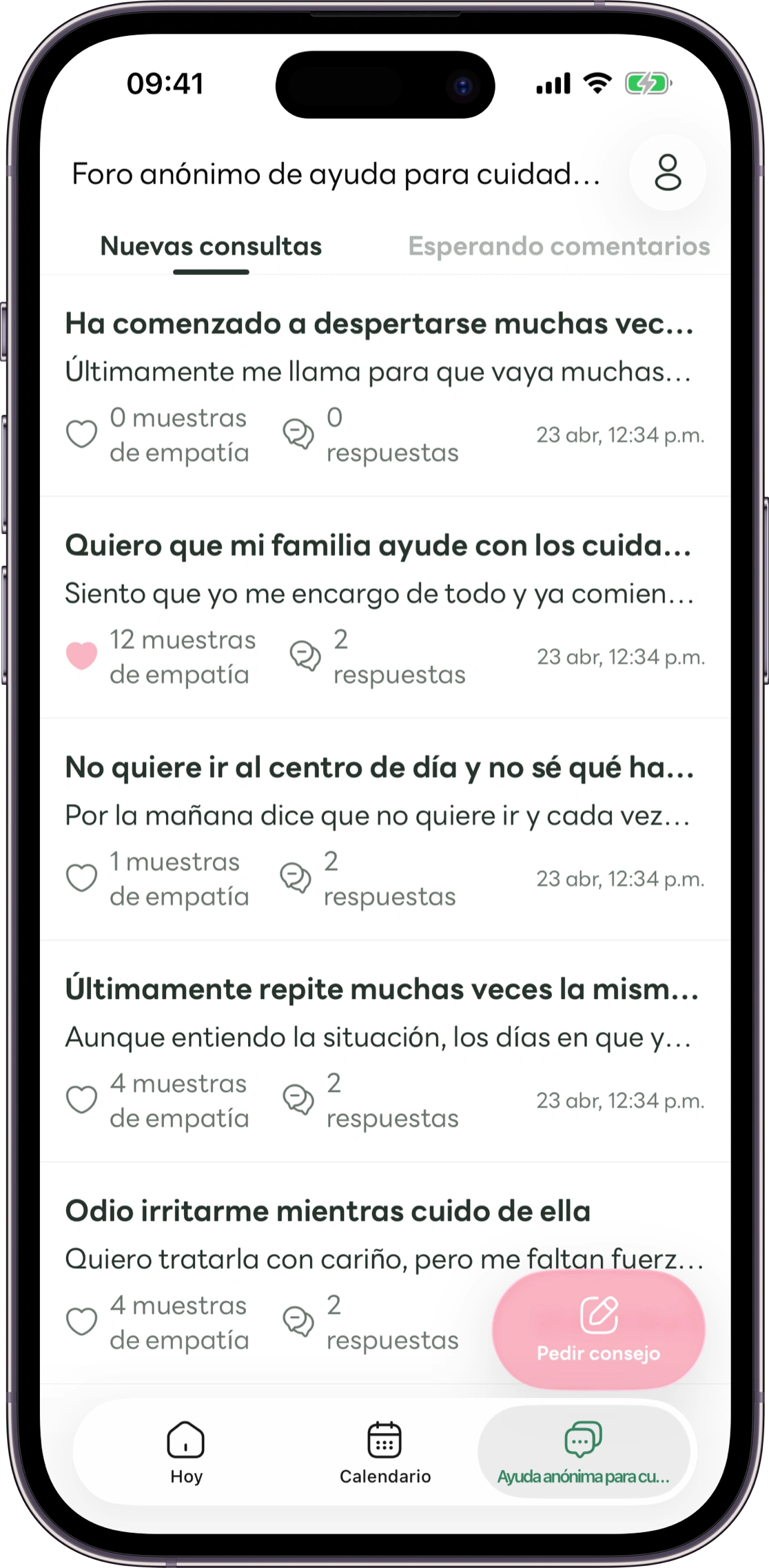Maqueta de la pantalla de consultas anónimas de Carez