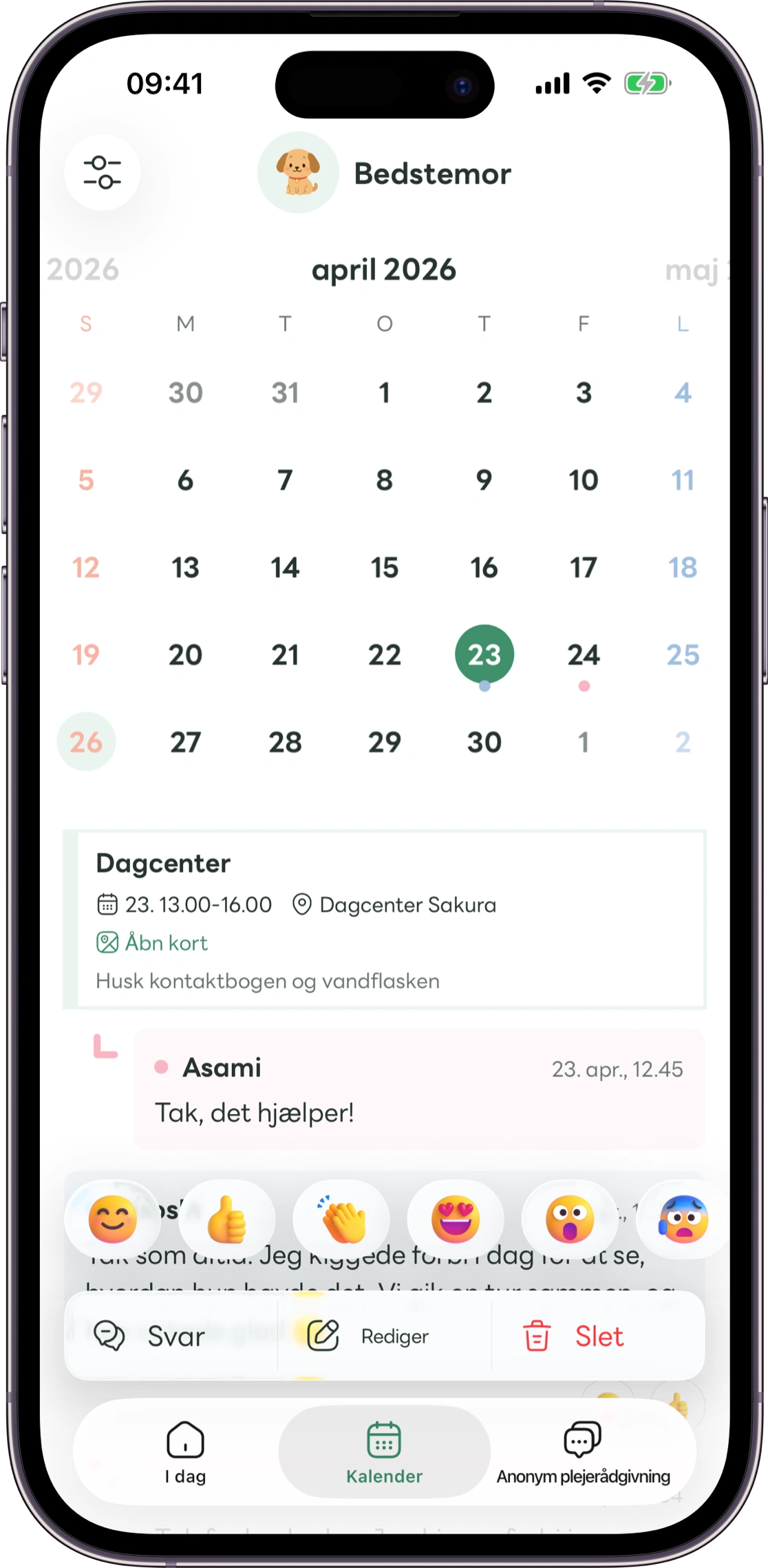 Model af reaktionsskærmen i Carez